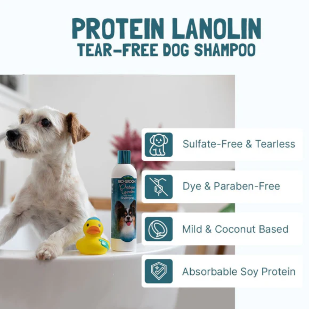 Bio-Groom Champô Condicionador Protein Lanolin 355 ML - Image 2