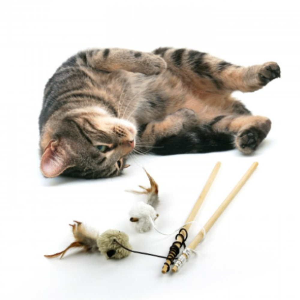 Brinquedo Gato Cana Rato Lamb (Castanho/Cinzento/Bege) - Image 2