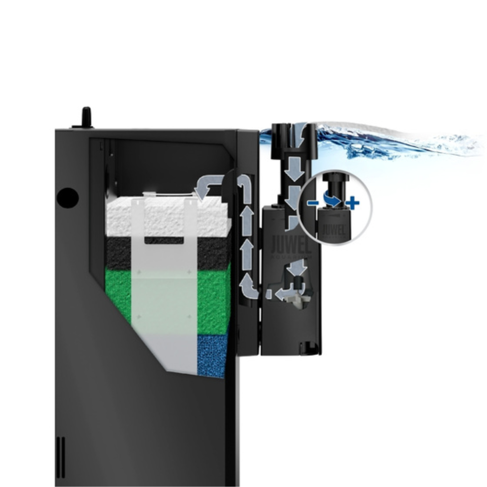 Eccoskim - Image 3