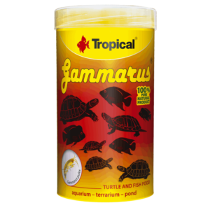 Tropical Gammarus