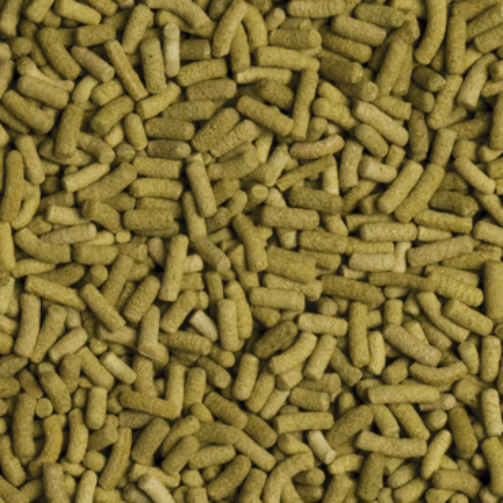 Tropical Biorept L - Image 2