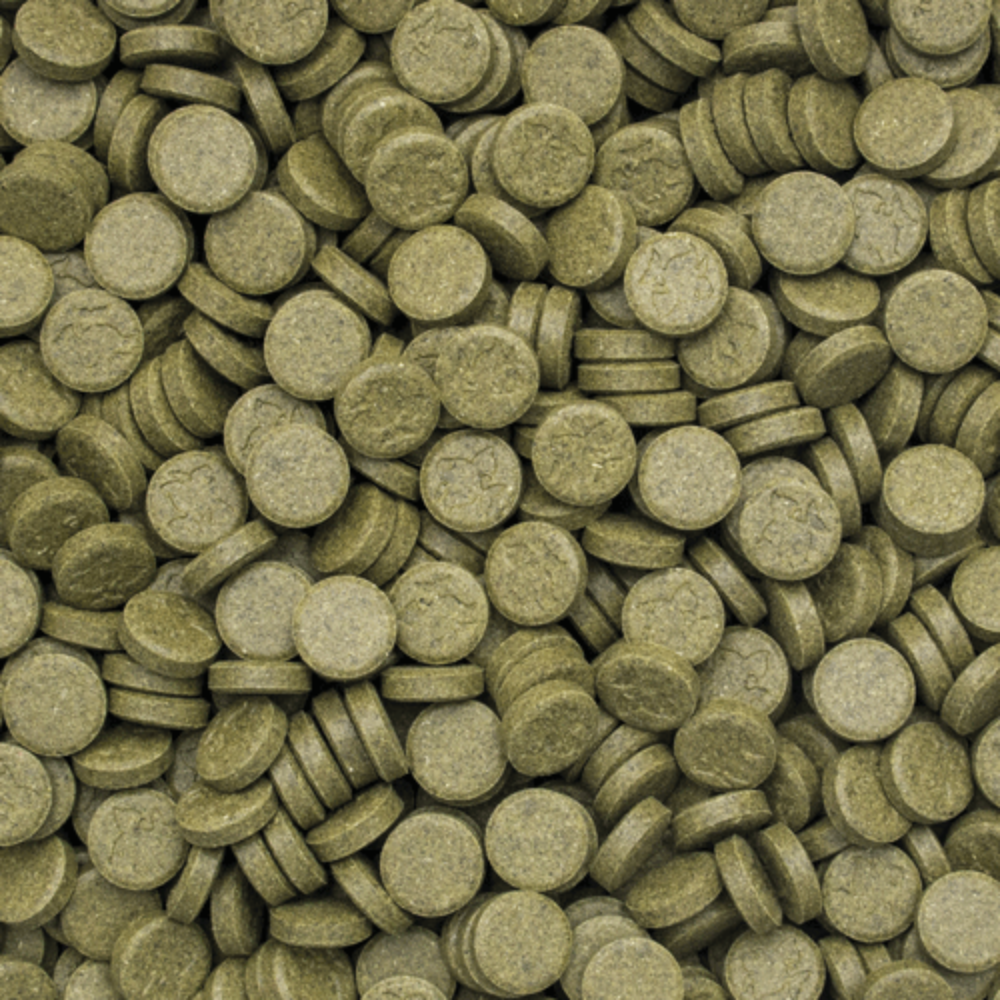 Tropical 3 Algae Tablets A - Image 2