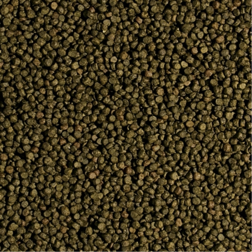 Koi Wheat Germ & Garlic Pellet - Image 2