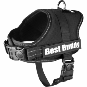 Flamingo Peitoral Best Buddy Preto