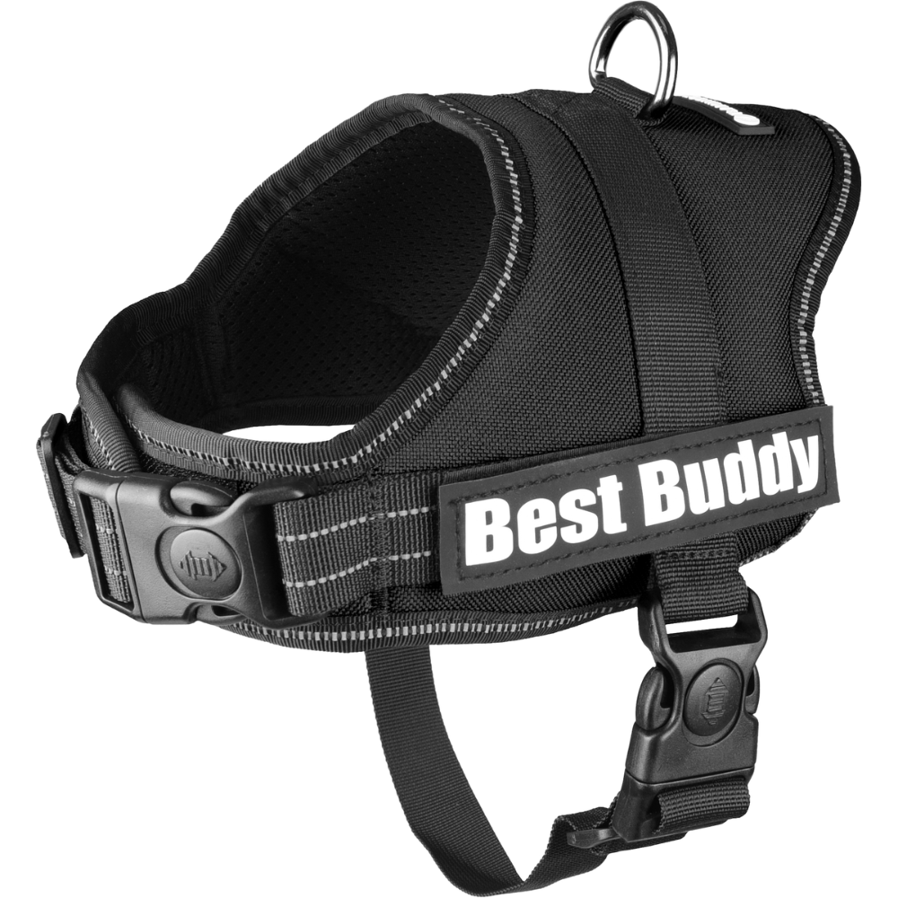Flamingo Peitoral Best Buddy Preto