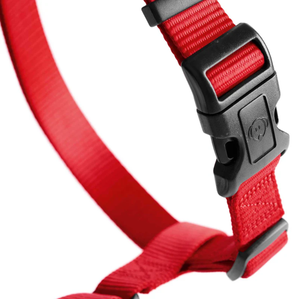 Hunter Peitoral Neopren Vermelho/Preto - Image 2