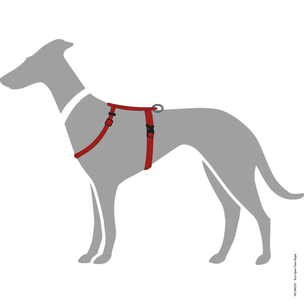 Hunter Peitoral Neopren Vermelho/Preto - Image 7