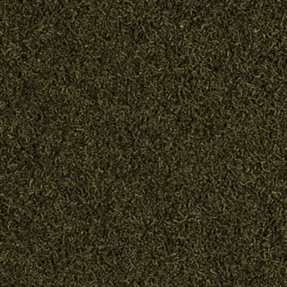 Tropical Caridina Nano Sticks - Image 2