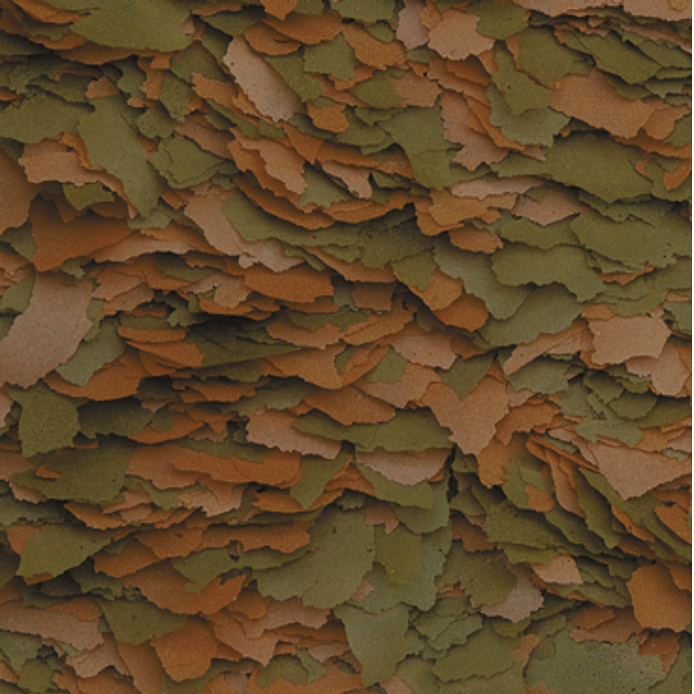 Tropical Cichlid Colour Flakes - Image 2