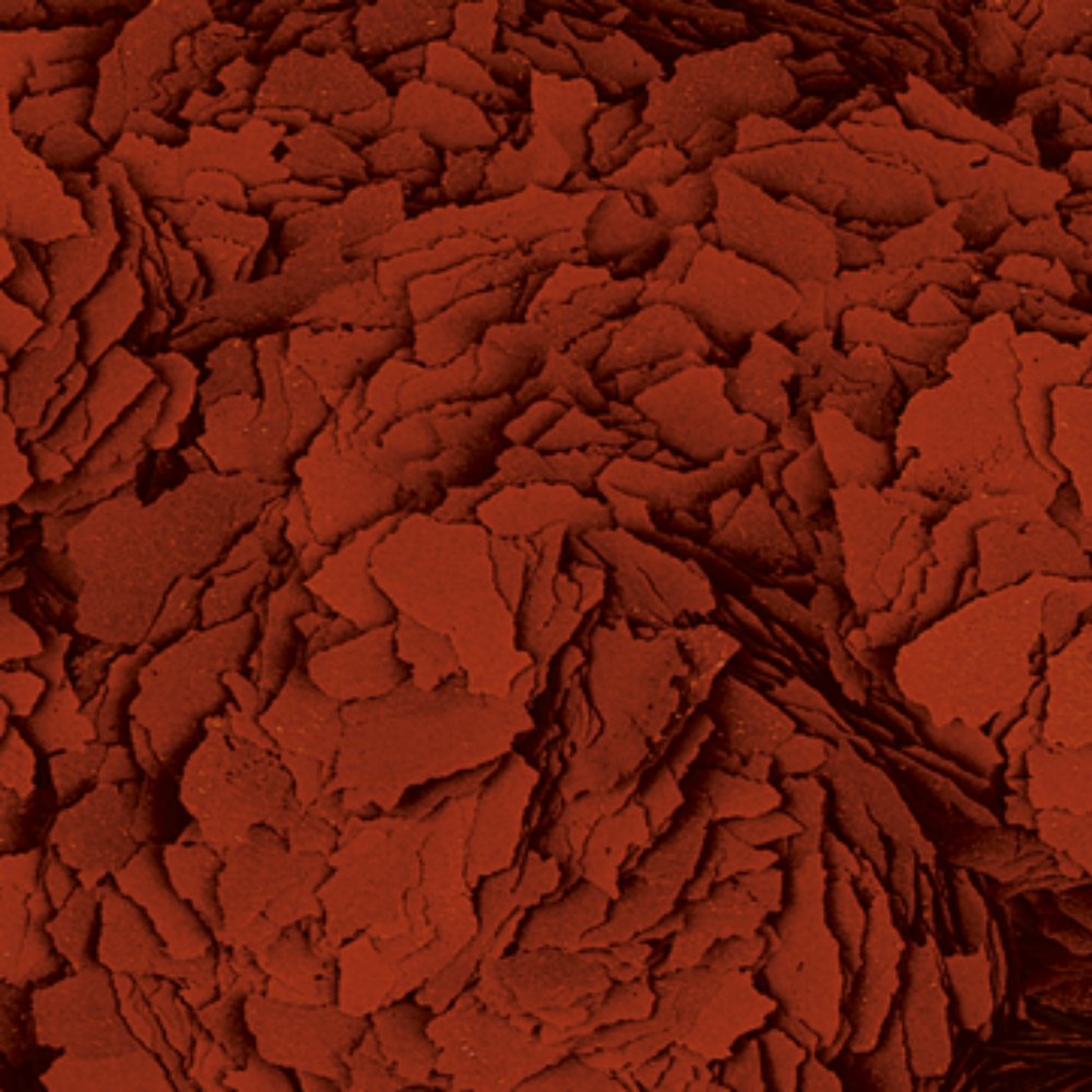 Tropical Astacolor - Image 2