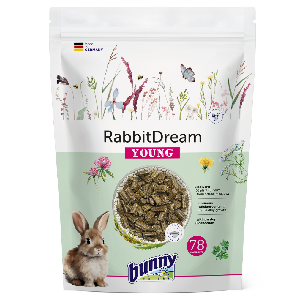 Bunny Sonho Para Coelho Jovem