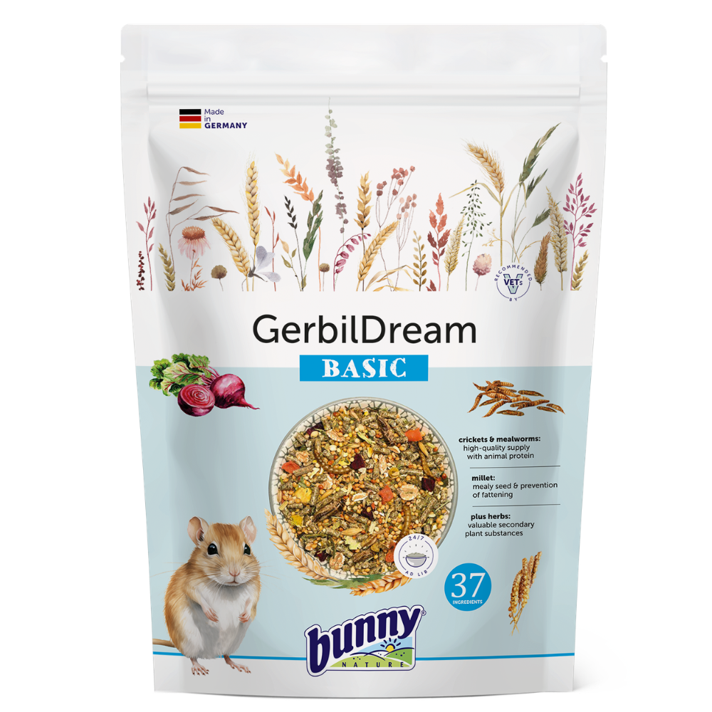 Bunny Sonho Para Gerbilo Basic