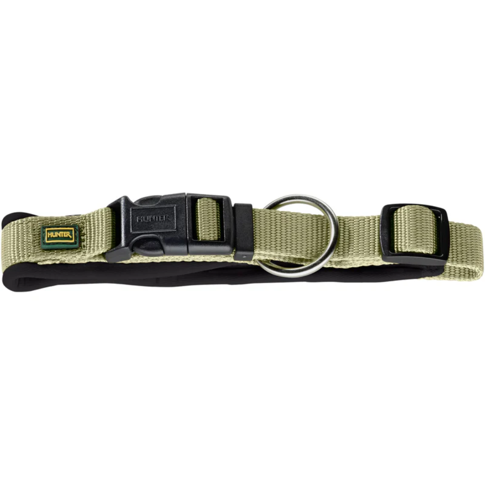 Coleira Neoprene Verde/Preta - Image 2