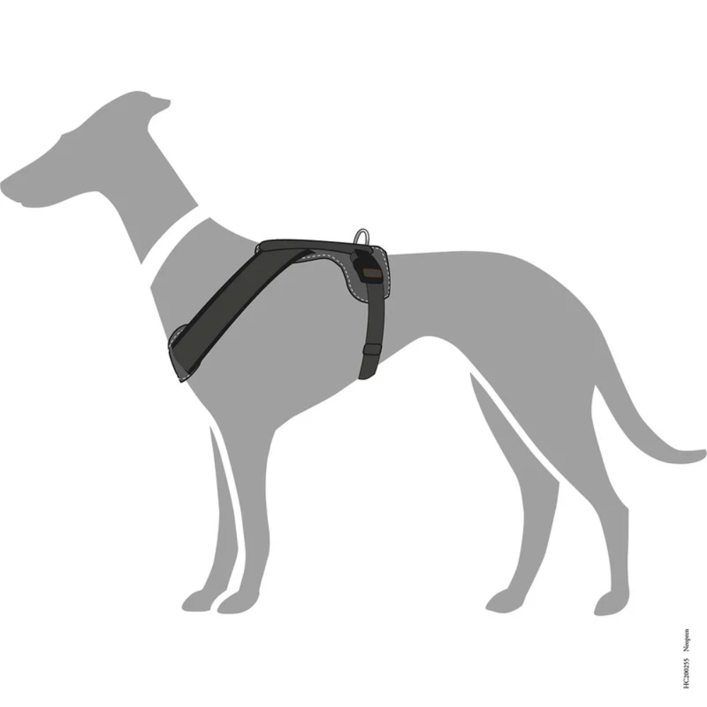 Hunter Peitoral Neopren Preto - Image 5