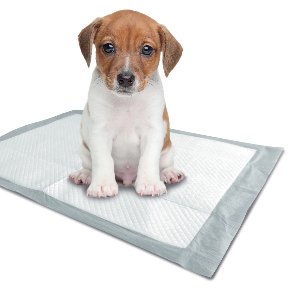 M-Pets Resguardos Puppy Training Pads - Image 2
