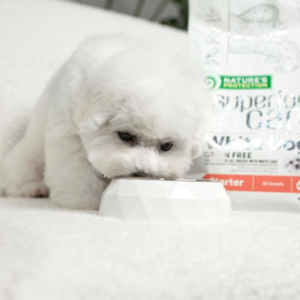 Nature’s Protection Superior Care White Dogs Grain Free Salmon Starter para filhotes Cão - Image 3