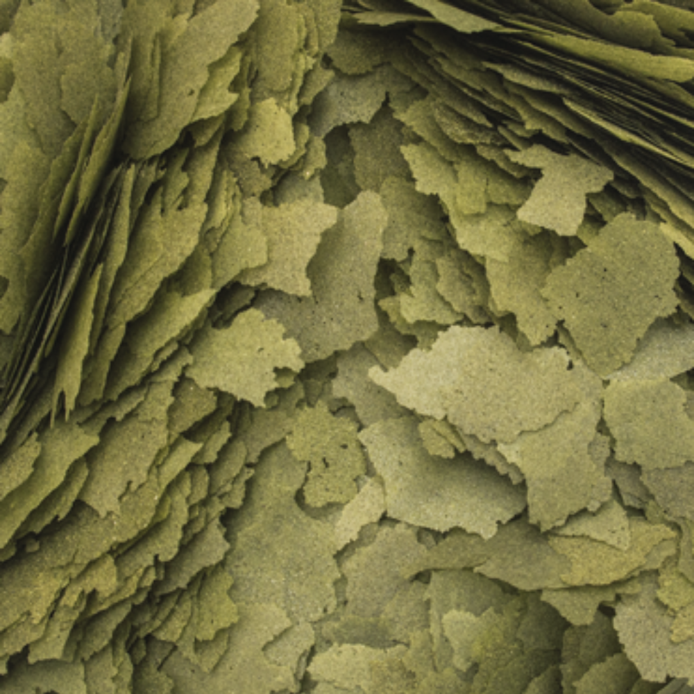 Tropical 3 Algae Flakes - Image 2