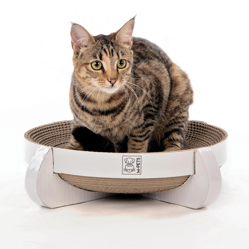 M-Pets Afiador Cartao Cleveland - Image 2
