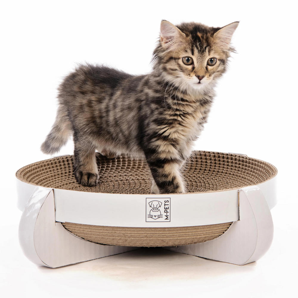 M-Pets Afiador Cartao Cleveland - Image 3