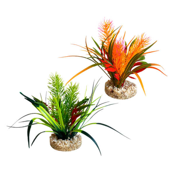 Sydeco Planta Jungle Small 15 CM