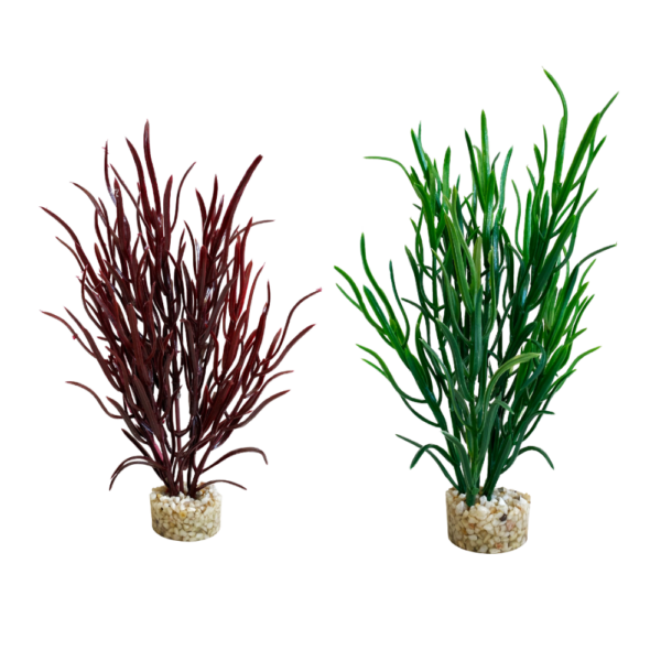 Sydeco Planta Sea Grass Baby 16 CM