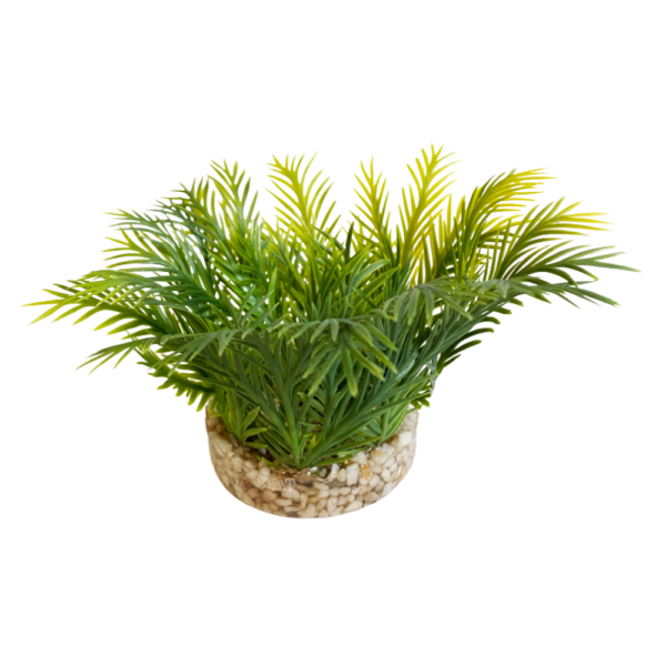 Sydeco Planta Green Moss 6 CM