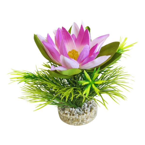 Sydeco Planta Lotus Flower 18 CM