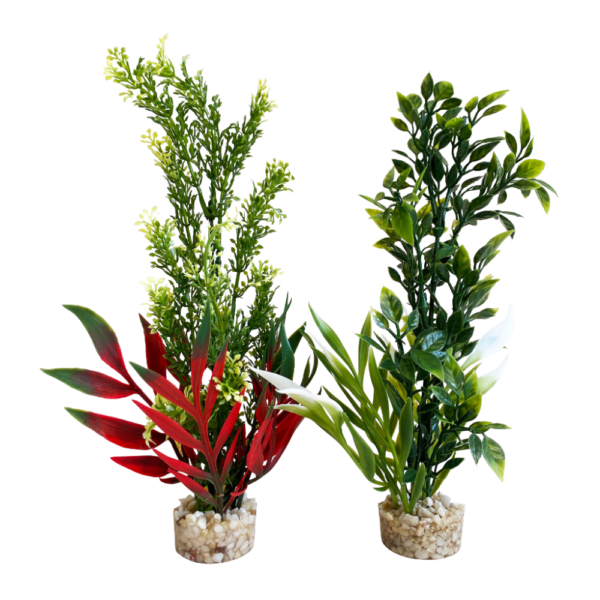 Sydeco Planta Tropica 20 CM