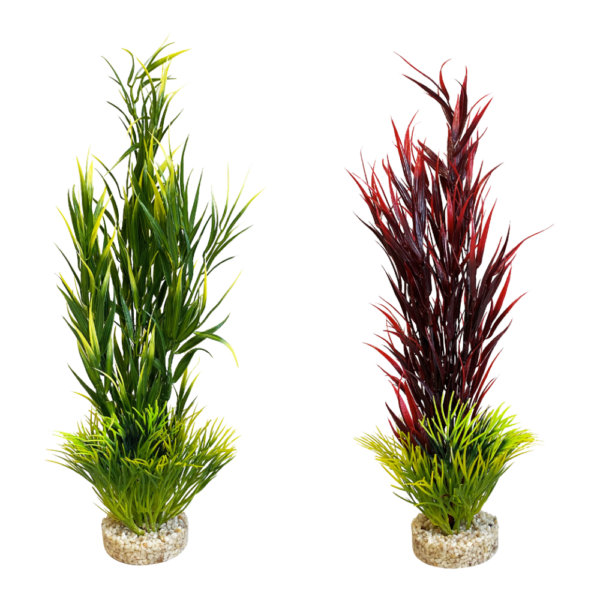 Sydeco Planta Wild Mountain 39 CM