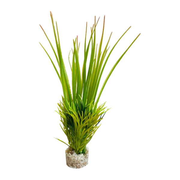 Sydeco Planta Oasis Baby 16 CM