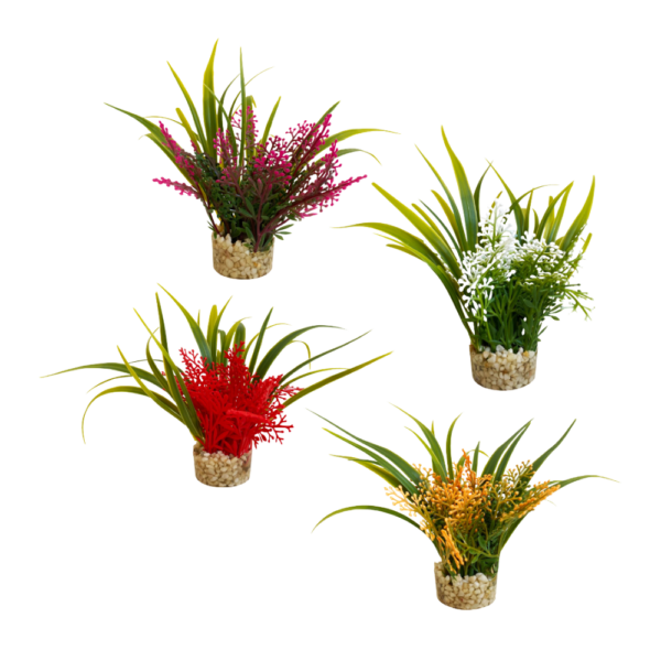 Sydeco Planta Nano Fiesta Flower 10 CM