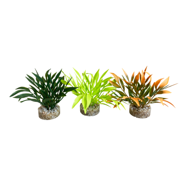 Sydeco Planta Magic Aqua Naturals 11 CM