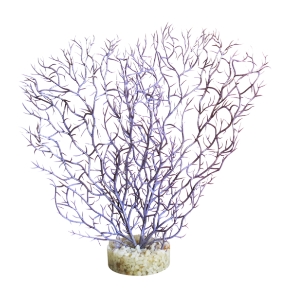 Sydeco Planta Coral Hedge 21 CM