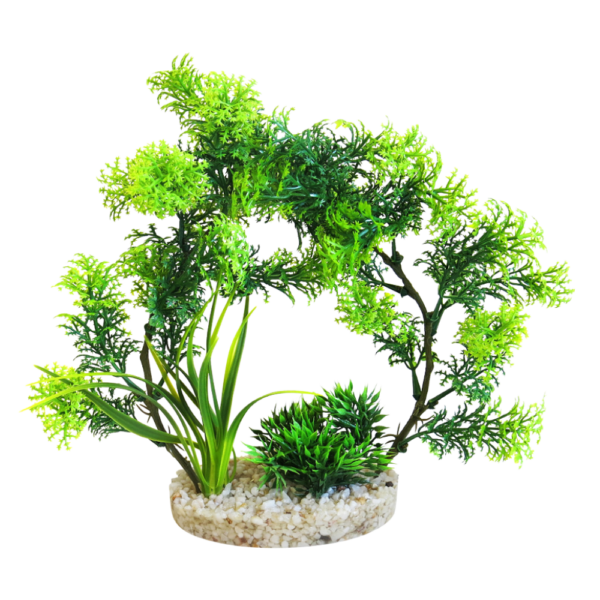 Sydeco Planta Arch Plant 21 CM