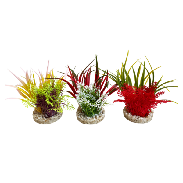 Sydeco Planta Bioaqua Bouquet 9 CM