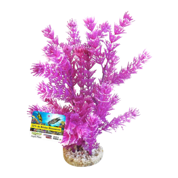 Sydeco Planta Bioaqua Fiesta 23 CM