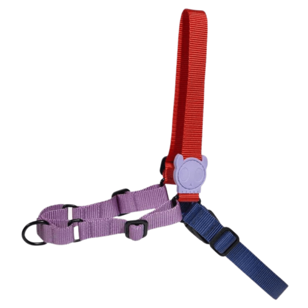Zee.Dog Peitoral Soft-walk Genie