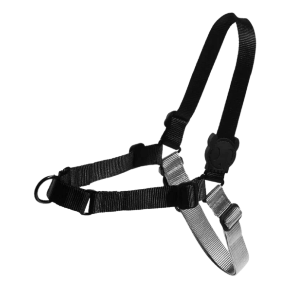 Zee.Dog Peitoral Soft-walk Gotham