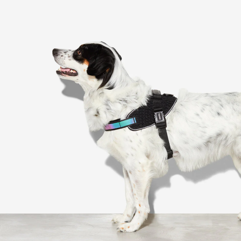 Zee.Dog Peitoral Fly Gotham - Image 5
