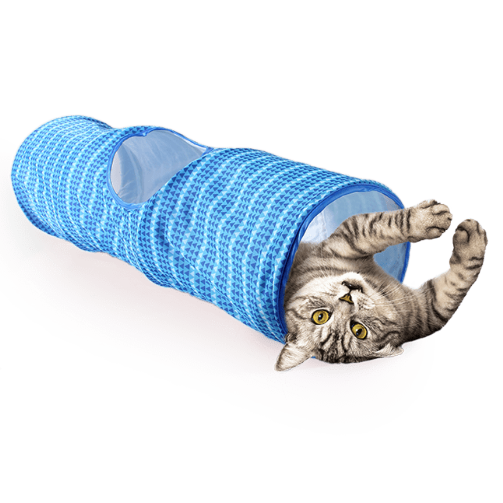 AFP Saco Modern Cat (Rosa/Azul) - Image 3