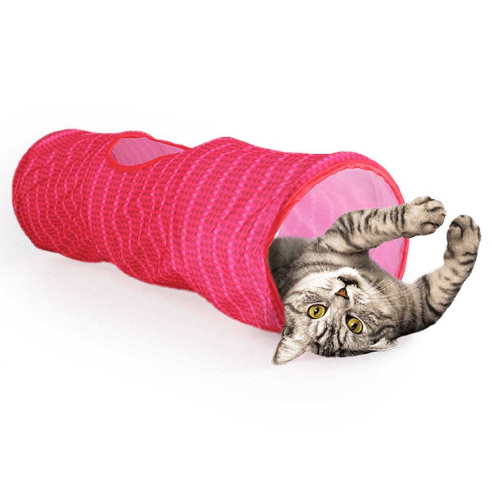 AFP Saco Modern Cat (Rosa/Azul) - Image 2