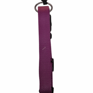 PET+ Coleira Rosa Velho C/ Fecho Segurança 25MMx45-65CM