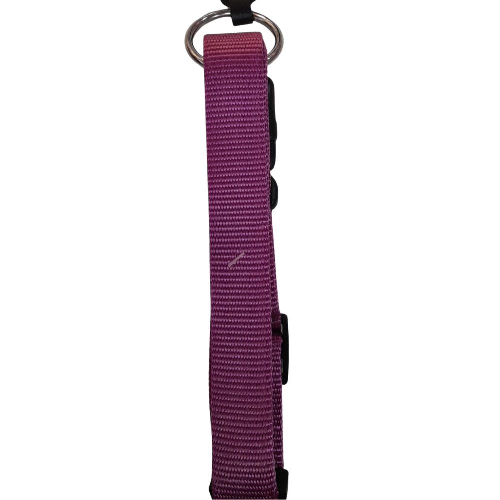 PET+ Coleira Rosa Velho C/ Fecho Segurança 25MMx45-65CM