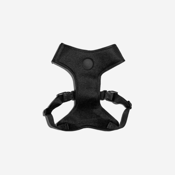 Zee.Dog Peitoral Gotham Air Mesh Ajust