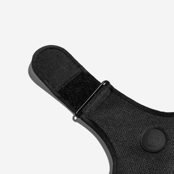 Zee.Dog Peitoral Gotham Air Mesh Ajust - Image 3
