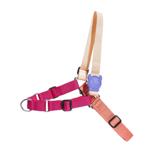 Zee.Dog Peitoral Soft-Walk Cinnamon