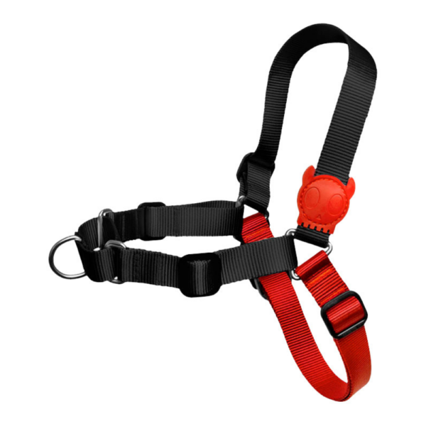 Zee.Dog Peitoral Soft-walk Fatboy