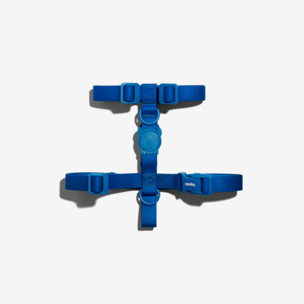 Zee.Dog Peitoral Neopro Blue H