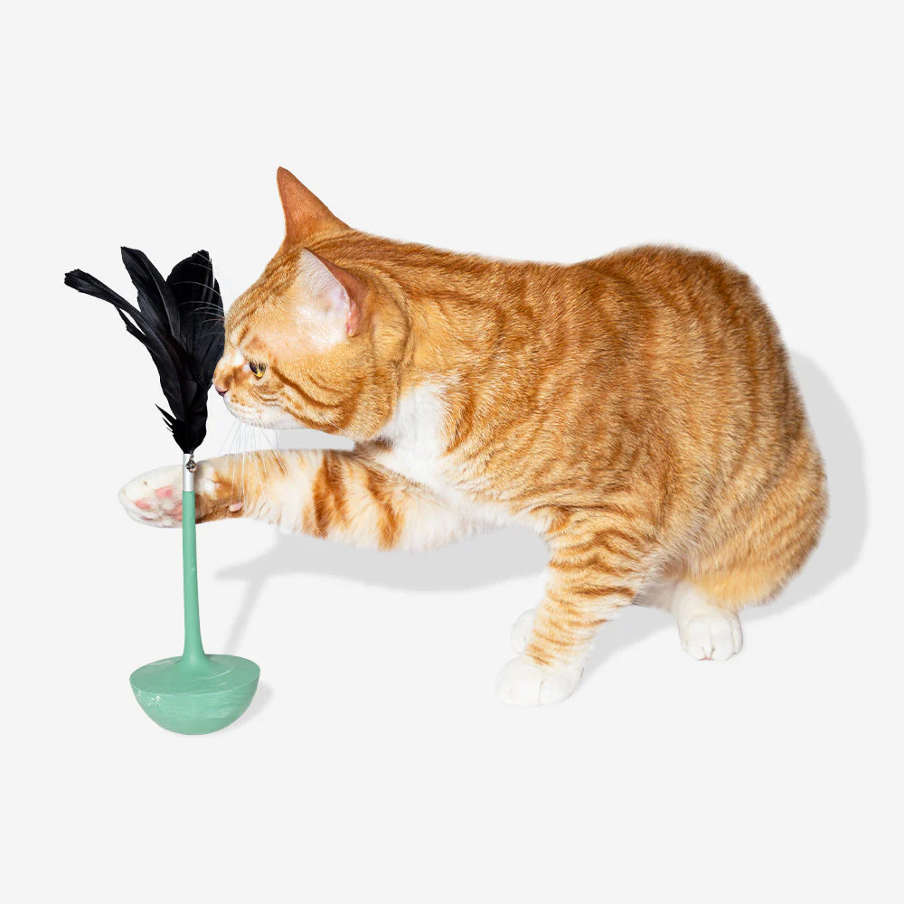 Zee.Dog Brinquedo Gato Teaser Mint 30 CM - Image 3