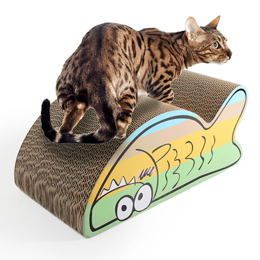 AFP Catoon - Belly Rubbing Fish Scratcher - Image 2